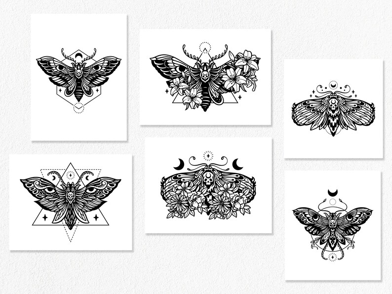 Floral Butterfly and Moth SVG Illustration Bundle, Instant Download Etsy