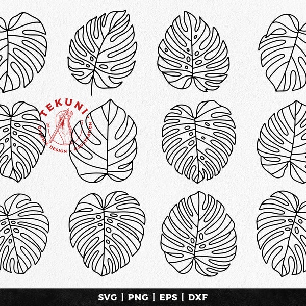 Monstera leaf svg bundle - Instant download