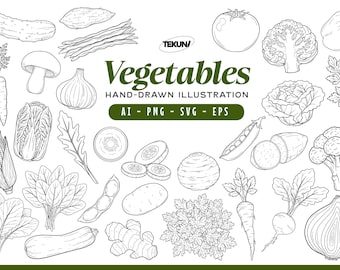 Vegetables Hand Drawn Illustration, Vegetable SVG Bundle, Farm Produce Drawing