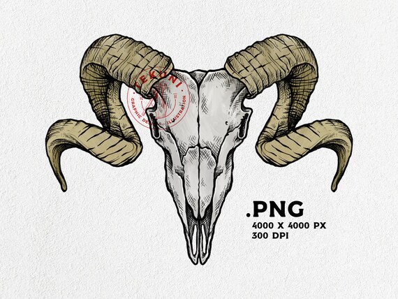 絵画 羊の頭蓋骨（スカル）絵画 手描き アート作品