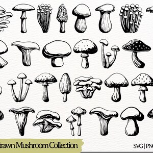 以下が含まれることがあります： 手描きのキノココレクションの白黒イラスト。モレルやアンズタケなど、さまざまな種類のキノコが描かれています。「Hand-drawn Mushroom Collection」の文字が下部にあり、ファイル形式のオプションも表示されています。