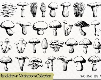 Paquete de ilustraciones de hongos vintage, imágenes prediseñadas de hongos (descarga digital)