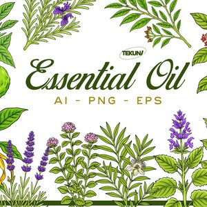 May include: An illustration featuring various botanical elements, including green leaves, purple lavender, and white flowers. The text "Essential Oil" is displayed in a dark green, stylized font, with "AI - PNG - EPS" below it. The image has a clean, white background.
