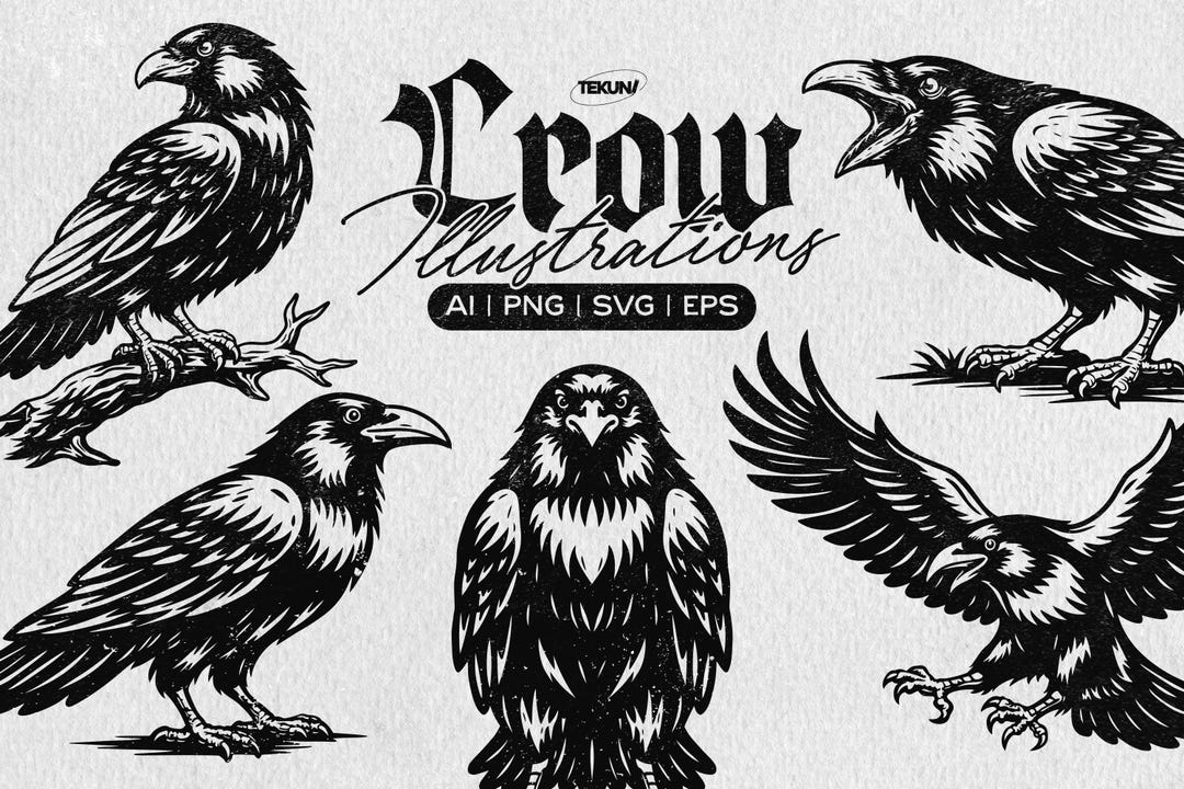 Crow Illustration Bundle, Crow SVG, Bird Silhouette - Etsy