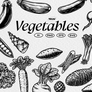 May include: Black and white illustration of various vegetables, including corn, eggplant, zucchini, radish, bell pepper, and more. The word "Vegetables" is displayed in a decorative font, with file type icons below.