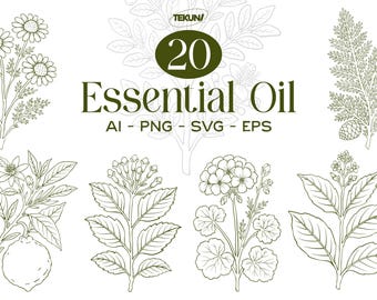 Essential Oil Botanical Line Art, Herbal SVG Bundle (Digital Download)