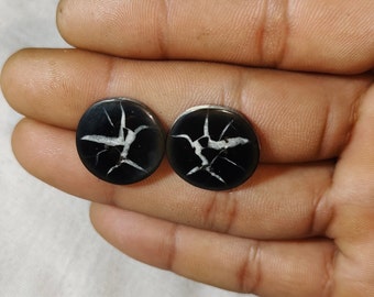 32×15×4mm Natural copper Atlantisite Matched pair loose semi precious gemstone weight 23.20cts free shipping Atlantisite Gemstone Pair 32×15×4mm Natural copper Atlantisite Matched pair loose semi precious gemstone weight 23.20cts free shipping Atlantisite Gemstone Pair