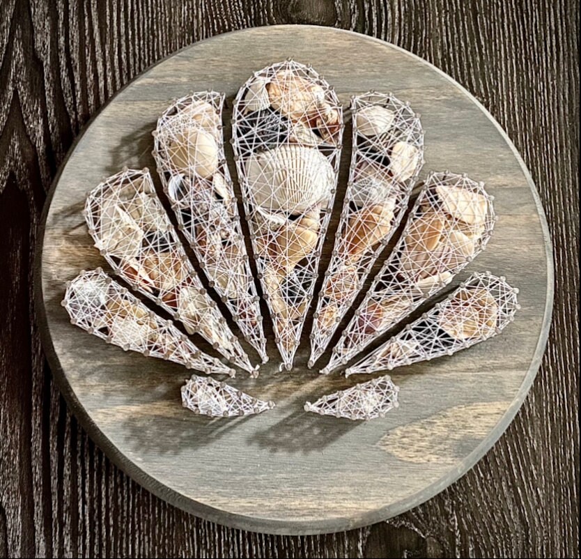 Seashell String Art - Etsy
