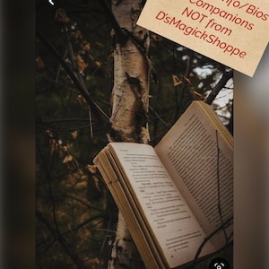 Informações estendidas/Biografias para companheiros NÃO de/E de D’sMagickShoppe