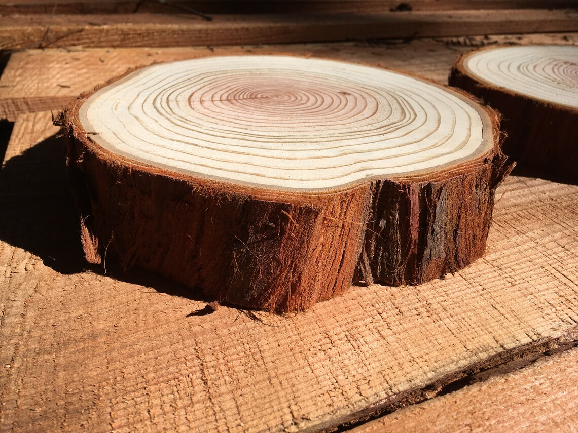 Redwood Cookie Slice Live Edge Round Round Serving Tray Etsy