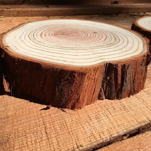 Tranche de biscuit en séquoia, rond à bord vivant, plateau de service rond, support à gâteau, chargeur, pièce maîtresse, bord vivant, tableau d'affichage, planche de service en bois