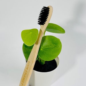 three pack bamboo toothbrush for sensitive teeth and gums