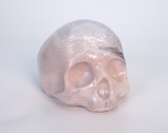 Skull - Premium Silicone - Hand made Sculpture