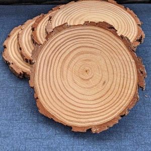 5-Pack of 4.25 - 4.5 inch Fully Dried Unfinished Natural Pine Wood Slices/Discs with bark