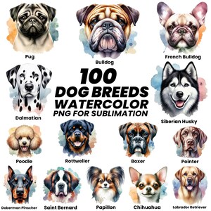 Acuarela de razas de perros PNG / Retratos de razas de perros / Arte mural de perros / Arte digital de razas de perros / Pintura de perros PNG / Paquete de perros / Uso comercial