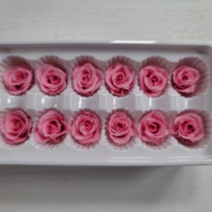 12 Real Preserved Roses, Hot Pink Rose Heads, Preserved Hot Pink Roses, Real Roses, Preserved Hot Pink Roses—Simply Beautiful!
