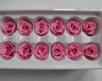 12 Real Preserved Roses, Hot Pink Rose Heads, Preserved Hot Pink Roses, Real Roses, Preserved Hot Pink Roses—Simply Beautiful!