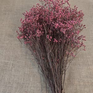 Pink Preserved German Statice: Dried Limonium Flowers, DIY Arranging (19-20" Tall) image 7