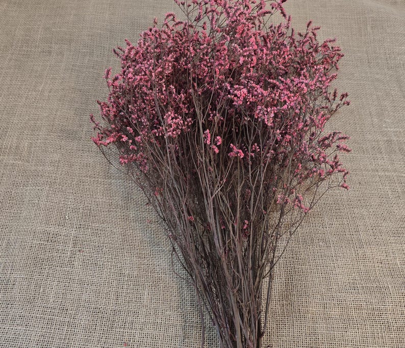Pink Preserved German Statice: Dried Limonium Flowers, DIY Arranging (19-20" Tall) image 7