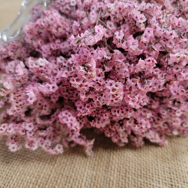 Pink Preserved German Statice, Limonium Dried Flower, Crystal flowers, Wedding, DIY Flower Arranging, 19"-20"tall