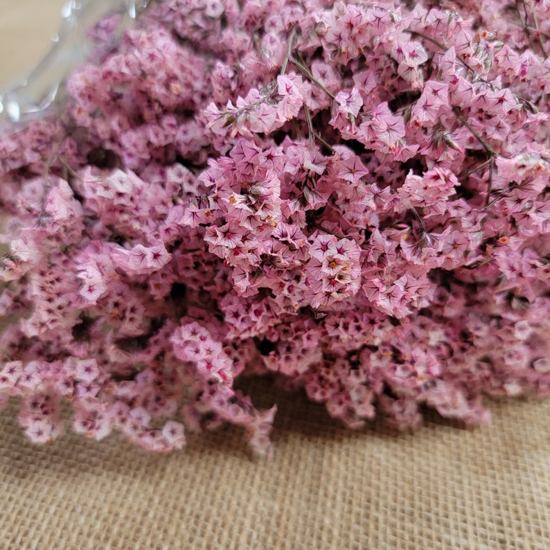 May include: A bunch of dried baby's breath flowers in a light pink color. The flowers are arranged in a loose, natural cluster.