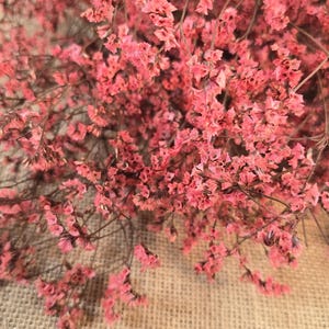 Pink Preserved German Statice: Dried Limonium Flowers, DIY Arranging (19-20" Tall) image 8