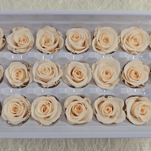 21 Champagne Preserved Roses: Wedding Bouquet Flowers