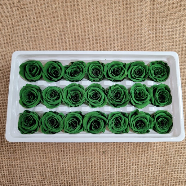 Preserved Roses - Dark green - For Prom, Christmas, Wedding - Dried Roses For Bouquet - Eternity Roses - Forever Roses - 21 Pack,