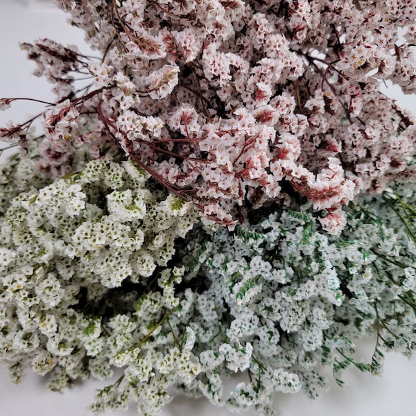 White Preserved German Statice, Limonium Dried Flower, Crystal flowers, Floral Arrangement, Wedding, DIY Flower Arranging, 19"-20"tall