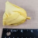 Preserved Yellow Roses - 6 Pack - Forever Flowers - Etsy