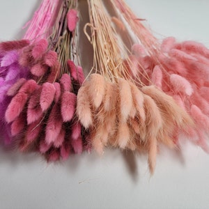 60 stems Pink Dried Bunny Tail Rabbit Grass Stems - Lagurus Grass - CHOOSE C0LOR -Naturally Dried - Boho Wedding Decor