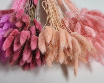 Pink Dried Bunny Tail Grass Stems: Boho Wedding Decor (60 stems, 19" long)