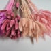 see more listings in the Bunny Tail Flowers section