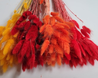 60 Red Dried Bunny Tail Grass Stems: Boho Wedding Decor