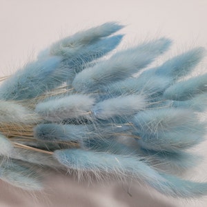 60 stems Blue Dried Bunny Tail Rabbit Grass Stems Lagurus Grass CHOOSE C0LOR Naturally Dried Boho Wedding Decor sky blue