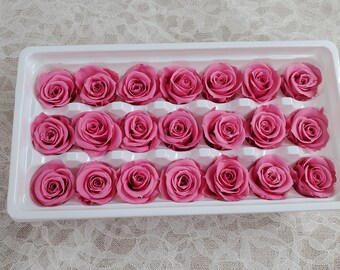 Preserved Roses - Hot Pink - For Prom, Christmas, Wedding - Dried Roses For Bouquet - Eternity Roses - Forever Roses - 21 Pack,