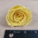 Preserved Yellow Roses - 6 Pack - Forever Flowers - Etsy