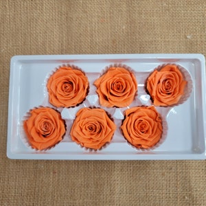 6 Orange Preserved Roses: DIY Floral Arrangements
