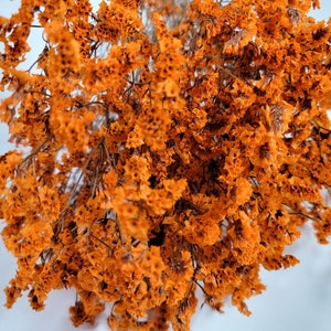 May include: A bunch of dried orange flowers, arranged in a cluster. The flowers are delicate and have a soft, feathery texture.