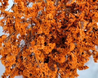 Orange Preserved German Statice, Limonium Dried Flower, Crystal flowers, Floral Arrangement, Wedding, DIY Flower Arranging, 19"-20"tall