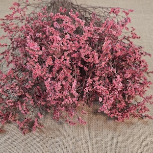 Pink Preserved German Statice: Dried Limonium Flowers, DIY Arranging (19-20" Tall) German Statice 2