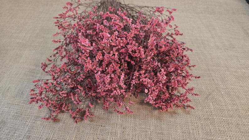 Pink Preserved German Statice: Dried Limonium Flowers, DIY Arranging (19-20" Tall) German Statice 2