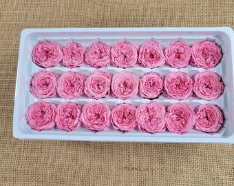 21 Preserved Roses Sweet Pink, Dried Flower / Prom, Mother's Day, Wedding Decor, Red Roses For Bouquet, Home Decor & DIY Floral Arrangements