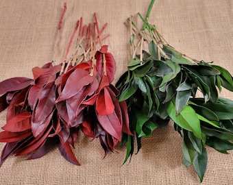 Preserved Osmanthus branches for Home flower arrangement and Garland decoration