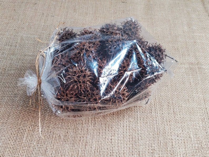 50 Sweet Gum Tree Balls / Seed Pods / Sweet Gum Balls / Natural Craft Supply / Wreath Supply image 5