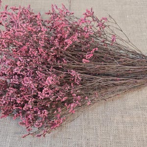 Pink Preserved German Statice: Dried Limonium Flowers, DIY Arranging (19-20" Tall) image 6