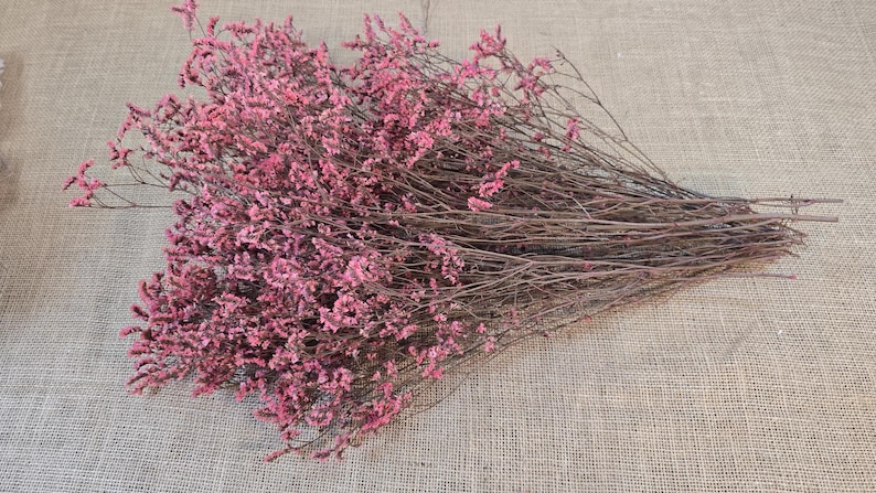 Pink Preserved German Statice: Dried Limonium Flowers, DIY Arranging (19-20" Tall) image 6