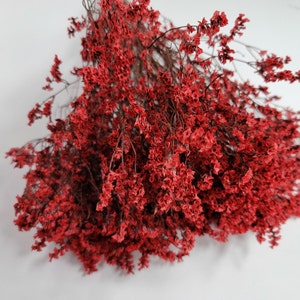 Red Preserved German Statice: Dried Limonium Flowers, DIY Floral Arrangement