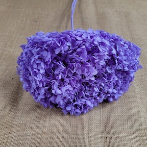 Preserved Hydrangea In Violet, Preserved Hydrangea,  Dried Hydrangea, Preserved Flowers, Dried Flowers, Real Flowers, Wedding Flowers