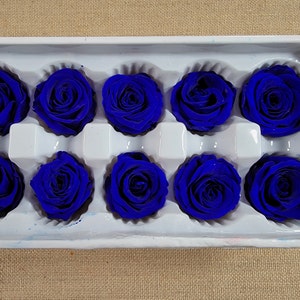 10Pcs Deep Blue Preserved Rose, Preserved Flowers,Real Rose Royal Blue, Dried Blue Rose, Royal Blue Wedding Flower, Deep Blue Floral Rose